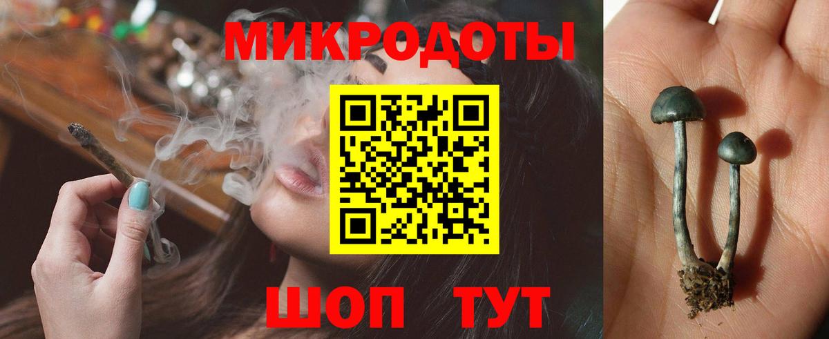 Галлюциногенные грибы MAGIC MUSHROOMS Вязьма